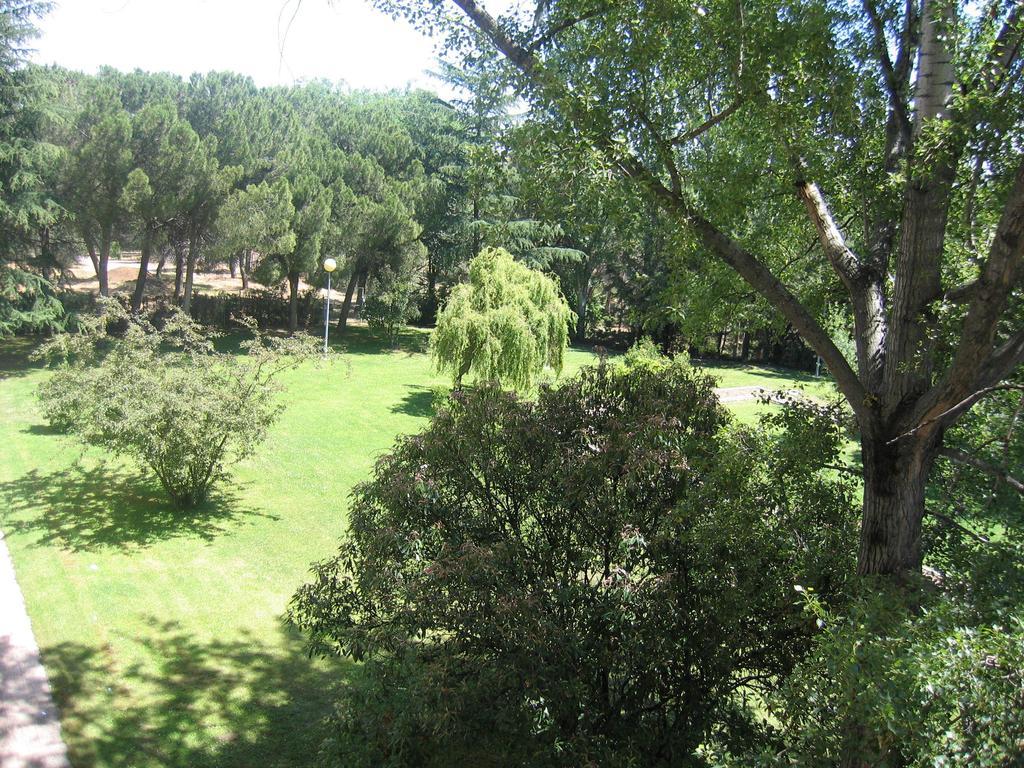 Hotel Escuela Μαδρίτη Δωμάτιο φωτογραφία